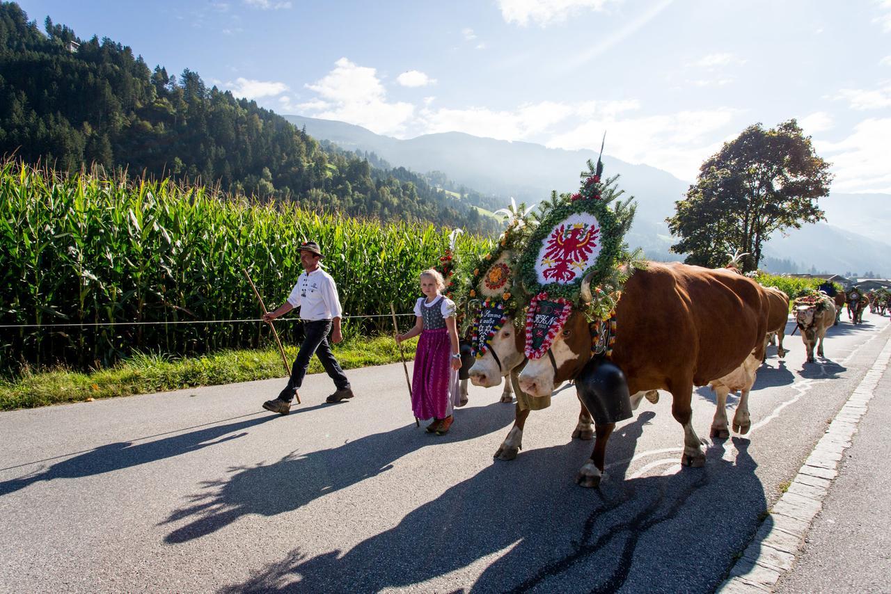 Apart Sprenger Fugen Im Zillertal Apartman Kültér fotó