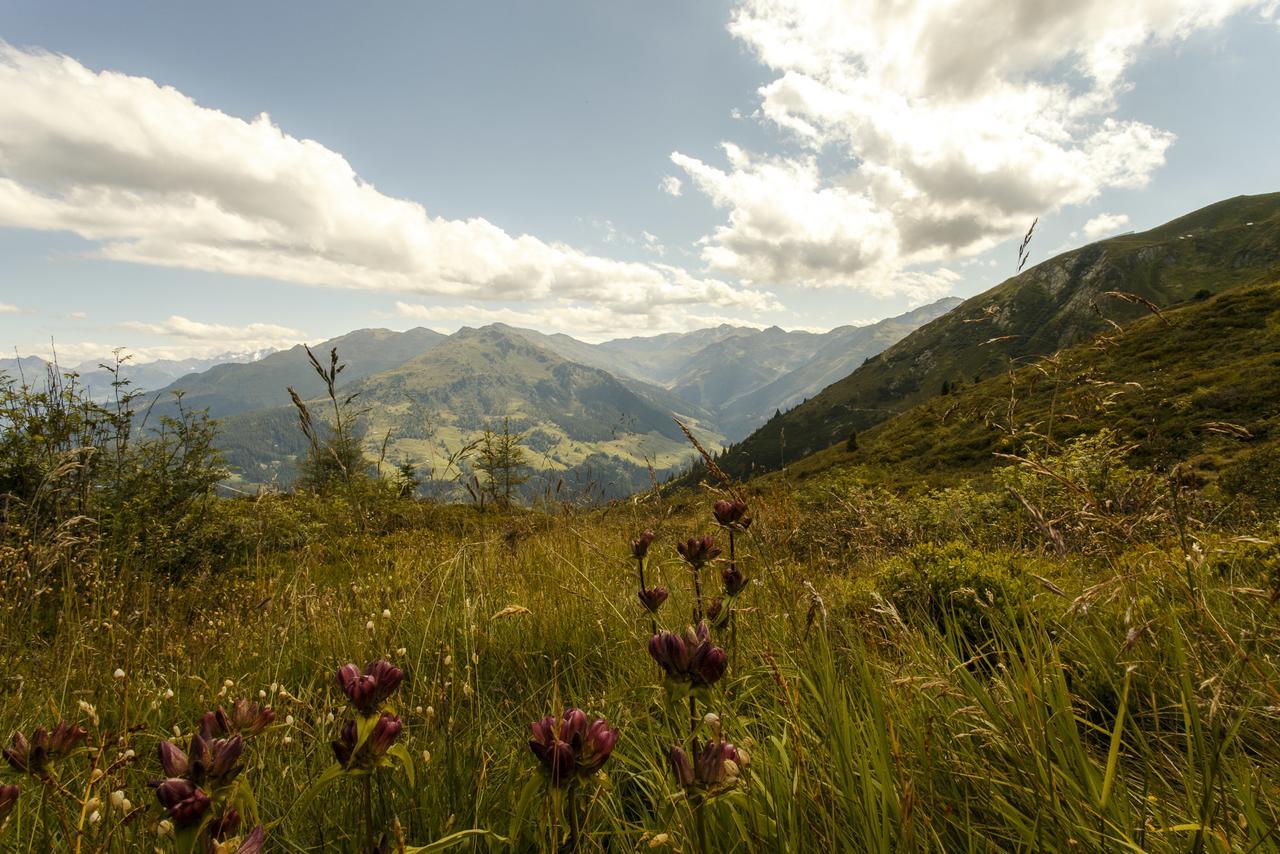 Apart Sprenger Fugen Im Zillertal Apartman Kültér fotó